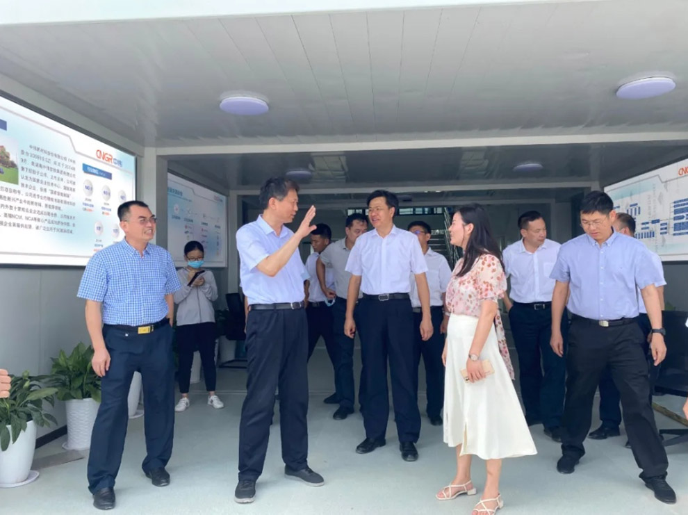 廣西壯族自治區(qū)人民政府副主席費志榮赴南部產(chǎn)業(yè)基地調(diào)研  廣西壯族自治區(qū)人民政府副主席費志榮赴南部產(chǎn)業(yè)基地調(diào)研