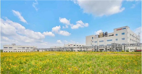 連續(xù)三年排名穩(wěn)步提升!中偉股份入選2025年中國民營企業(yè)500強 連續(xù)三年排名穩(wěn)步提升!中偉股份入選2025年中國民營企業(yè)500強